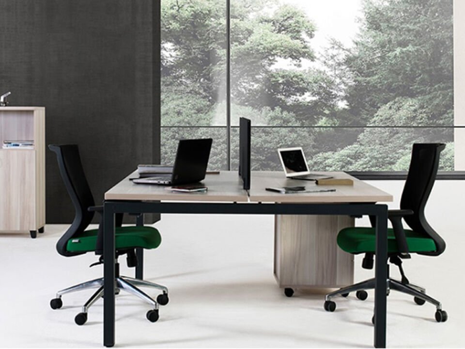 Radikal İkili Ofis Çalışma Grubu